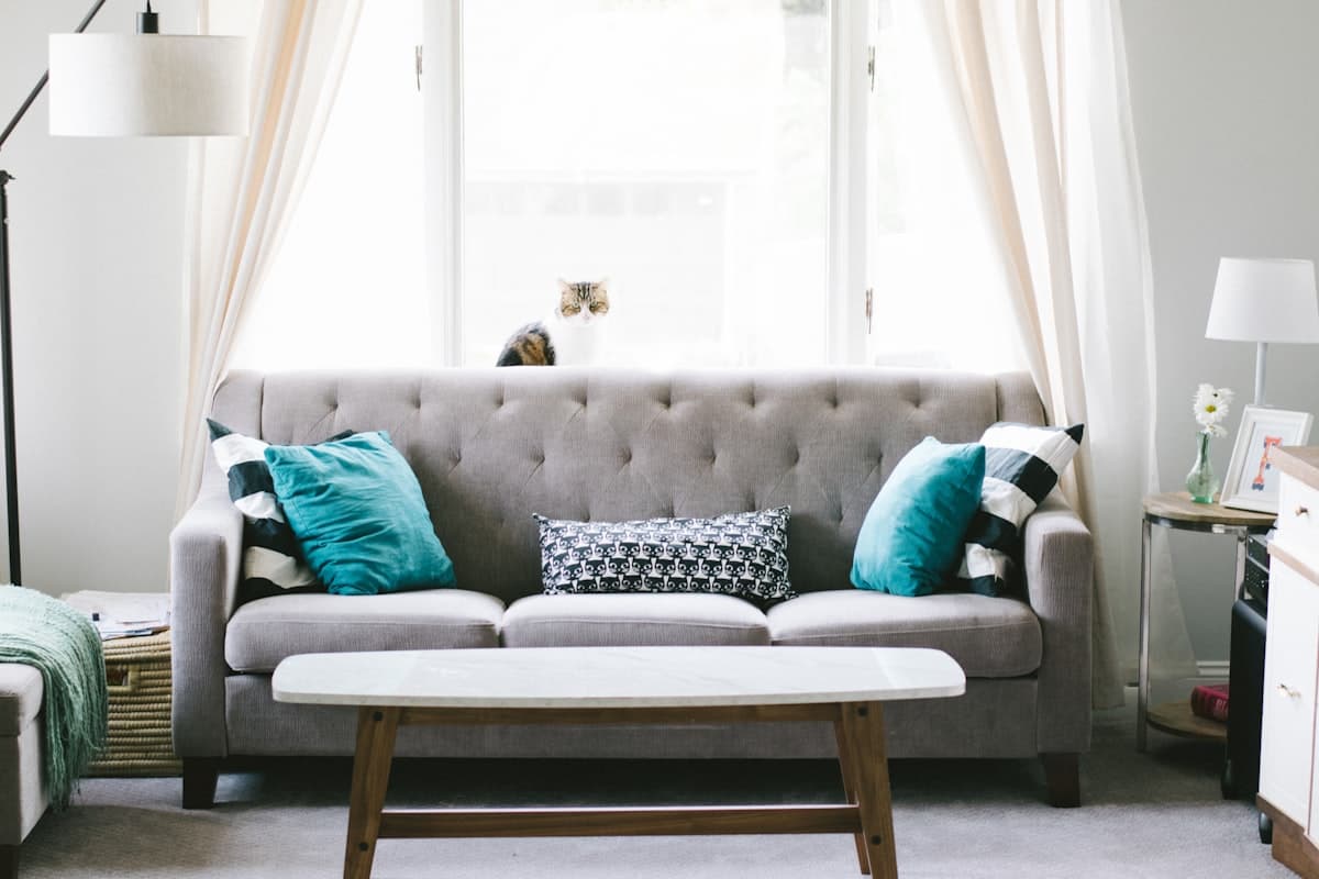 Pet Stain & Odour service in Edmonton